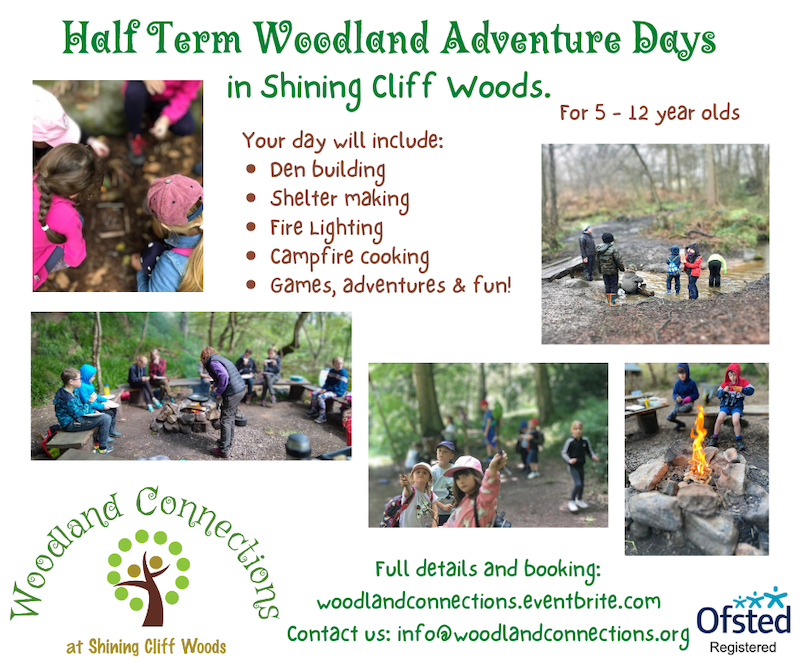 Half Term Woodland Adventure Days for Children - Derby Days Out