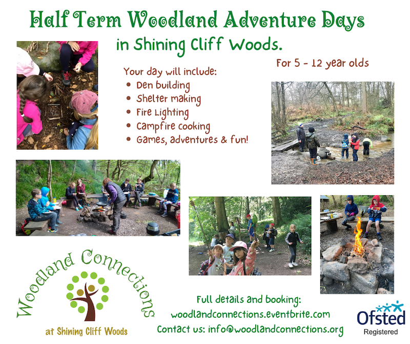 Half Term Woodland Adventure Day for Children. - Derby Days Out