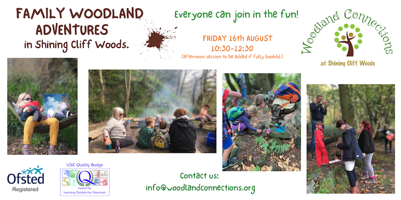 Family Forest School in Shining Cliff Woods - Derby Days Out