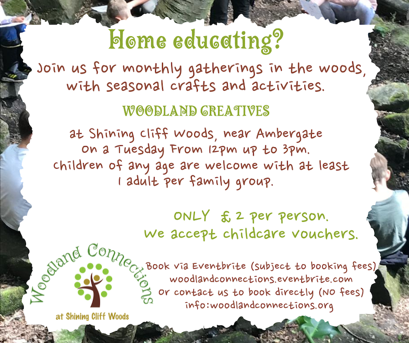 Woodland Creatives - for home educating families - Derby Days Out