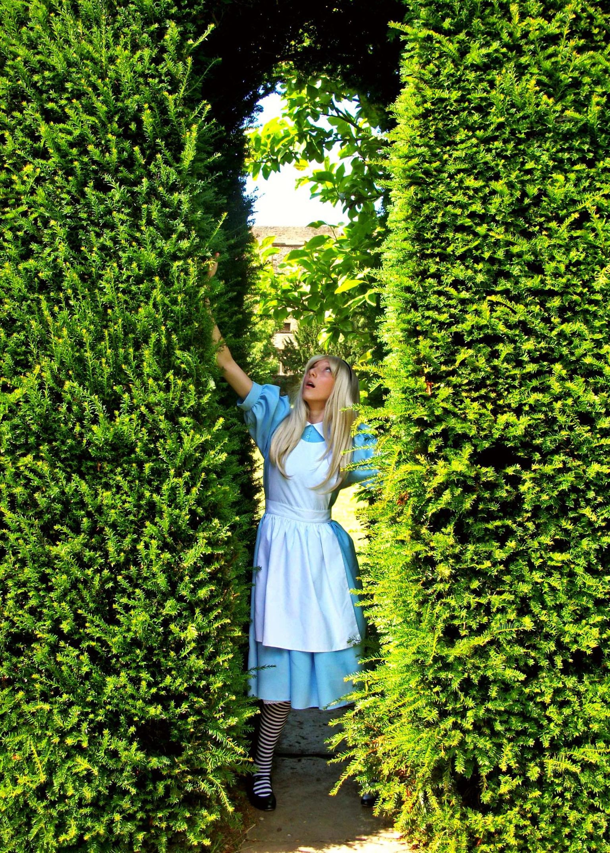 Alice in Wonderland – Time for Tea Trail! - Derby Days Out