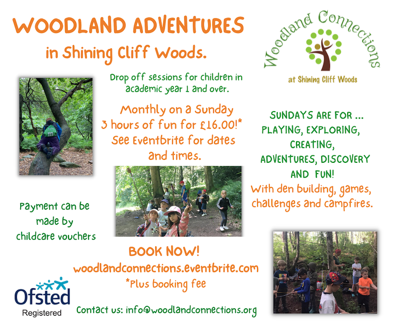 Woodland Adventures for Kids in Shining Cliff Woods - Derby Days Out