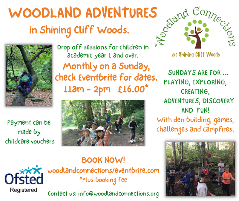 Woodland Adventures for Kids in Shining Cliff Woods - Derby Days Out