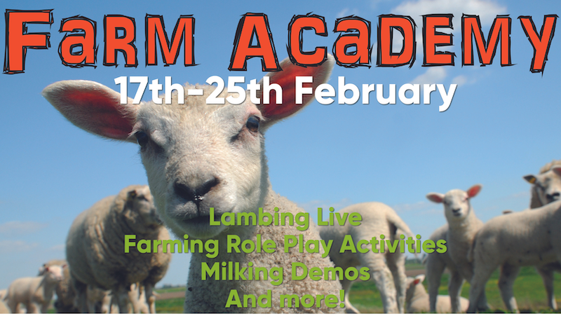 Farm Academy - Derby Days Out