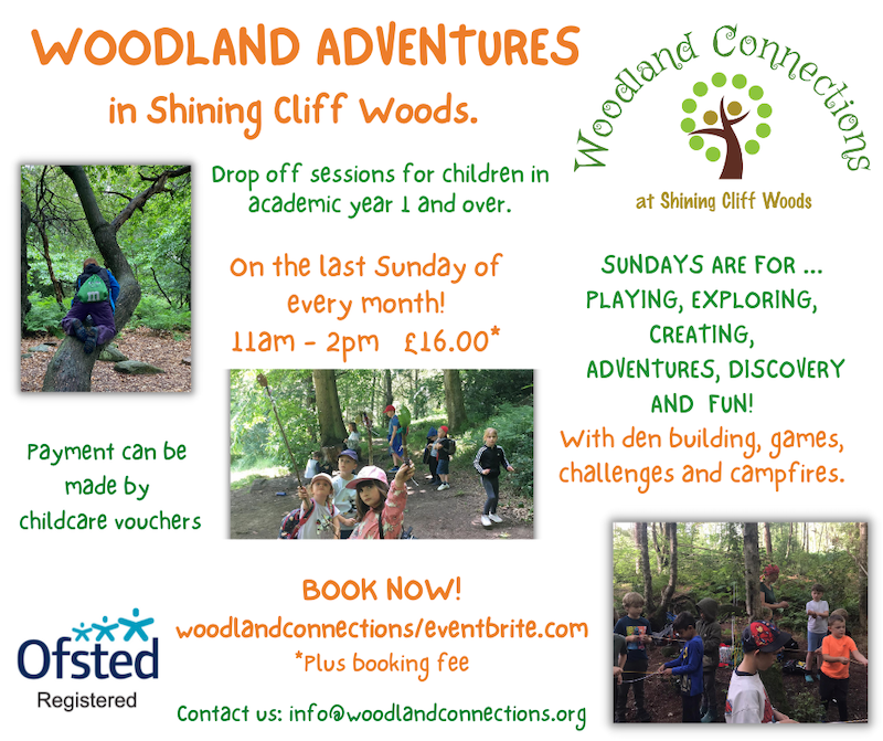 Woodland Adventure for Kids in Shining Cliff Woods - Derby Days Out